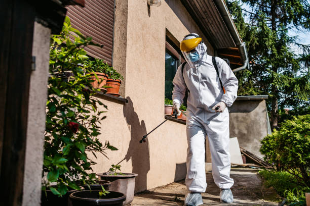 Best Commercial Pest Control Services  in Braddock Hills, PA