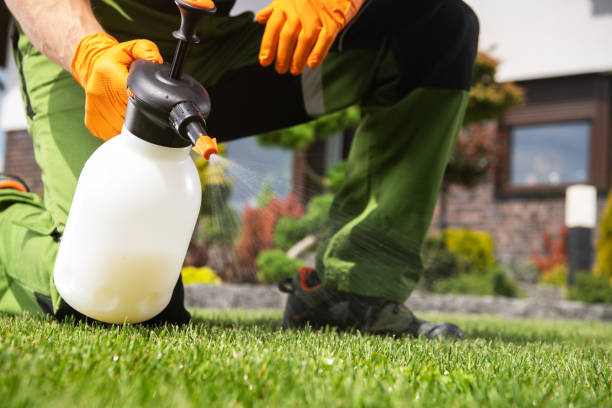 Best Residential Pest Control  in Braddock Hills, PA