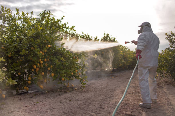 Best Cockroach Control Services  in Braddock Hills, PA