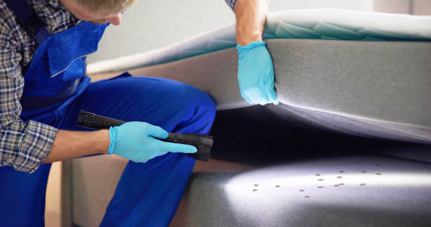 Best Affordable Pest Control Services  in Braddock Hills, PA